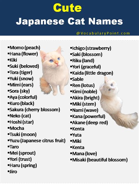 cute names for cats in japanese|unique japanese names for cats.